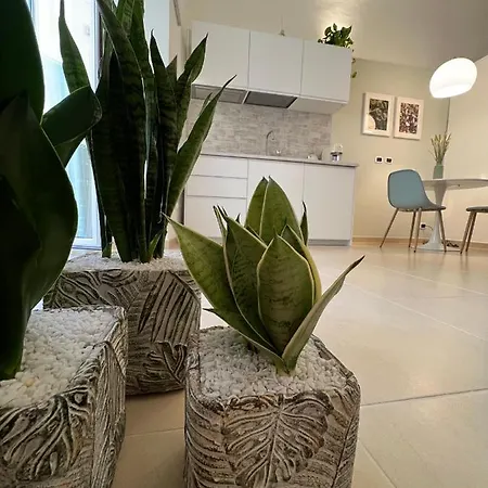 Apartamento Com A Cas - Feel At In The Old Town